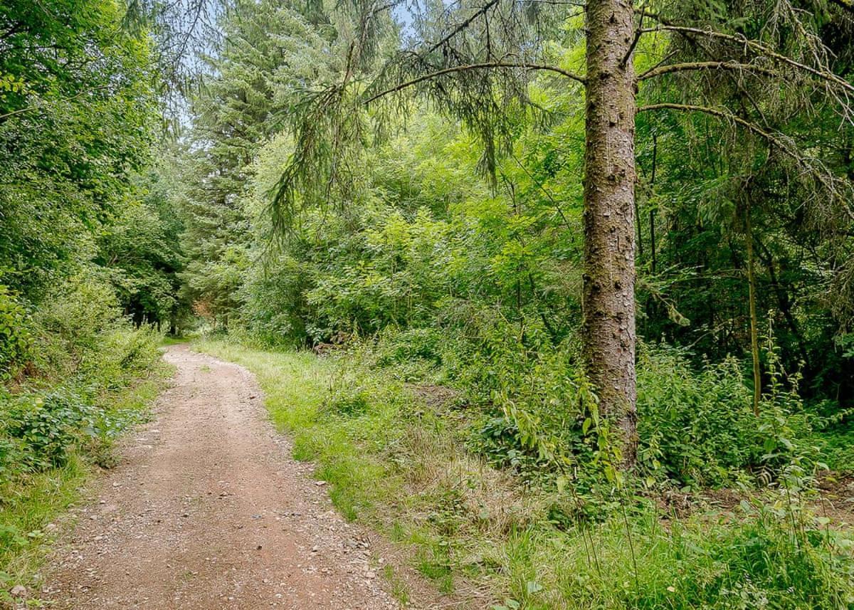 Hornbeam Country Park Honiton Exterior foto