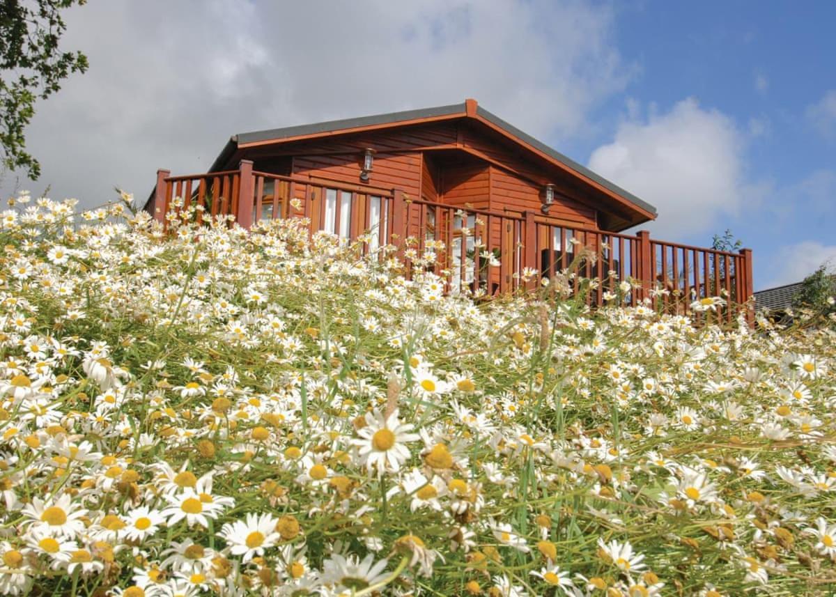 Hornbeam Country Park Honiton Exterior foto